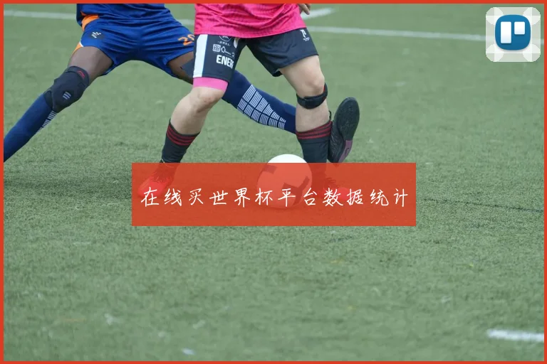 在线买世界杯平台数据统计