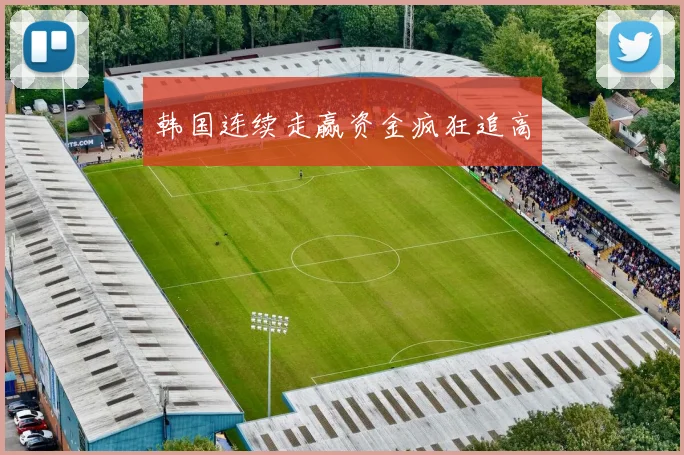 韩国连续走赢资金疯狂追高