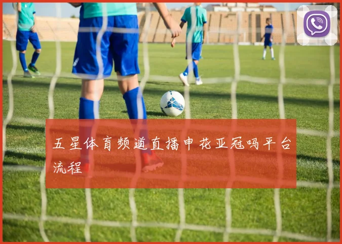 五星体育频道直播申花亚冠吗平台流程