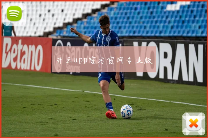 开云app官方官网专业版
