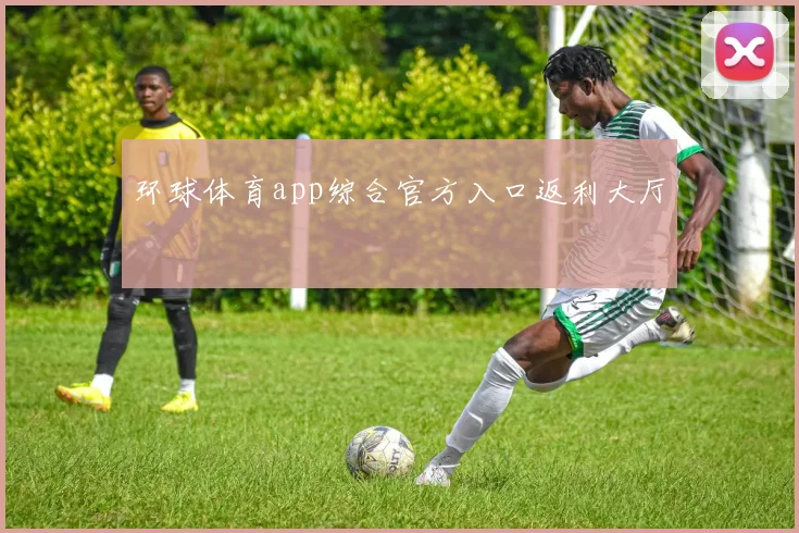 环球体育app综合官方入口返利大厅