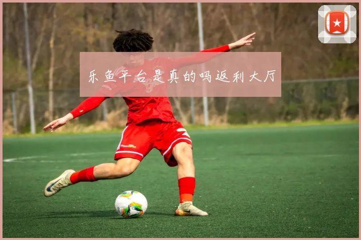 乐鱼平台是真的吗返利大厅
