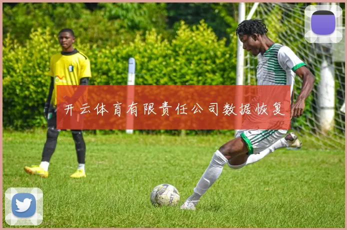 开云体育有限责任公司数据恢复
