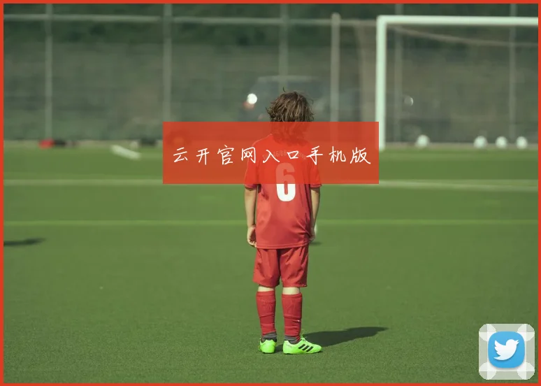 云开官网入口手机版