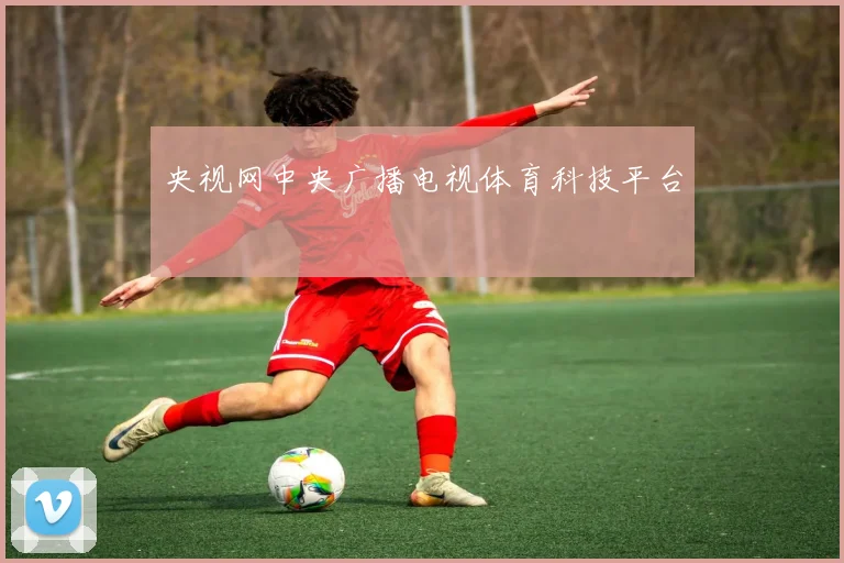 央视网中央广播电视体育科技平台