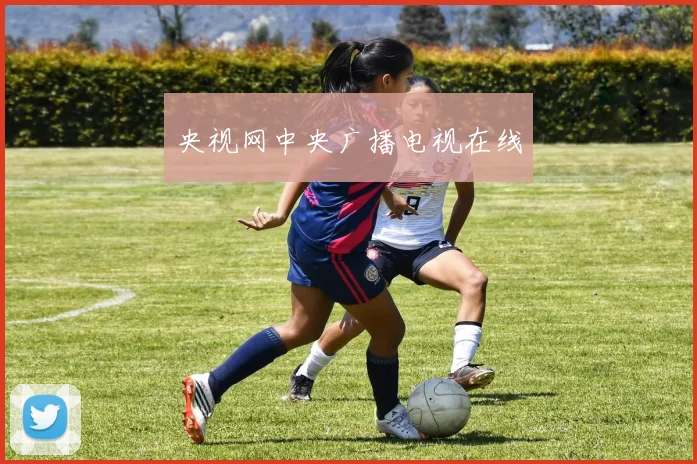 央视网中央广播电视在线