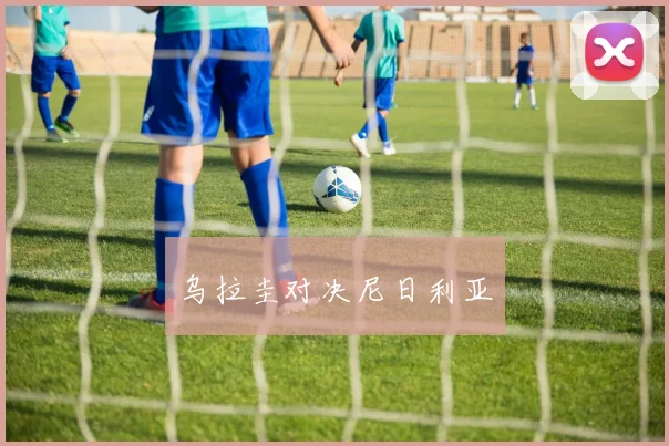 乌拉圭对决尼日利亚