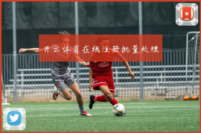 开云体育在线注册批量处理
