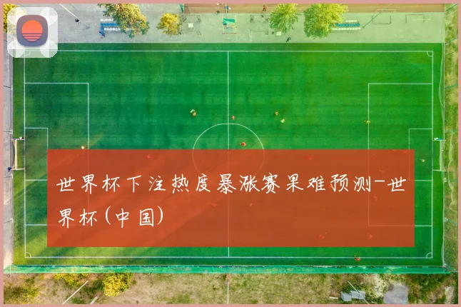 世界杯下注热度暴涨赛果难预测-世界杯(中国)