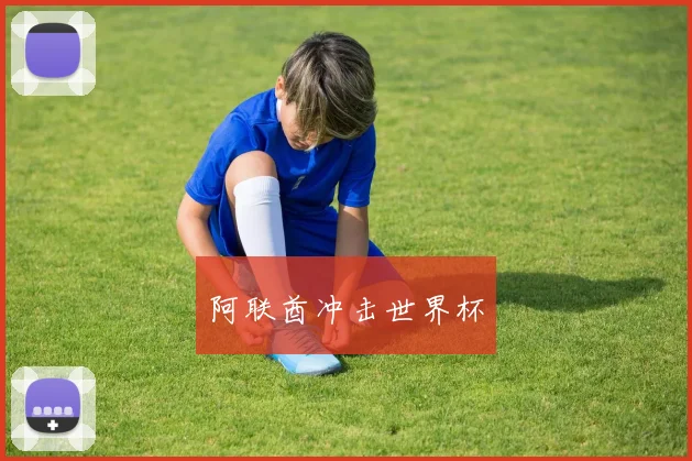 阿联酋冲击世界杯