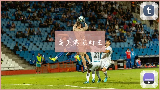 高芙赛点封王