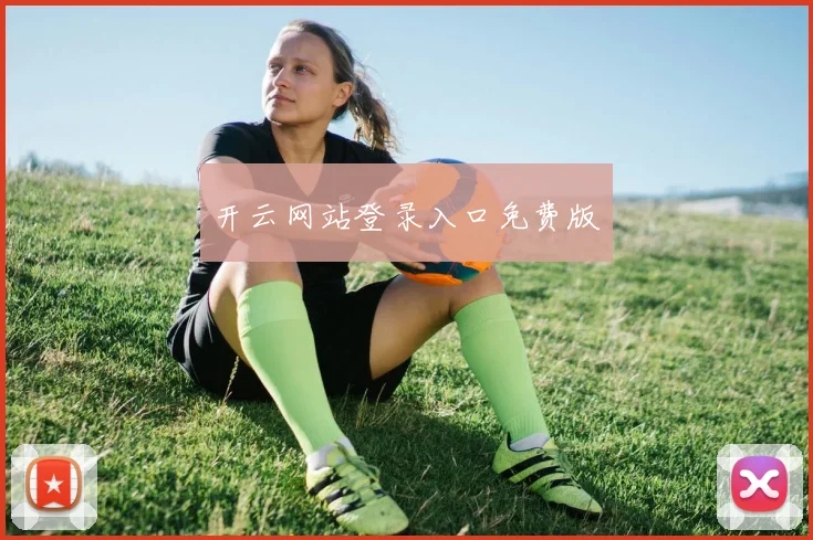 开云网站登录入口免费版