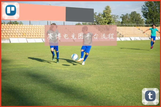 赛博电竞图平台流程
