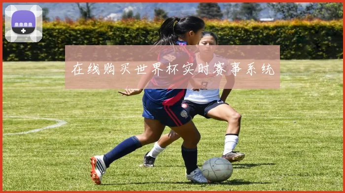 在线购买世界杯实时赛事系统