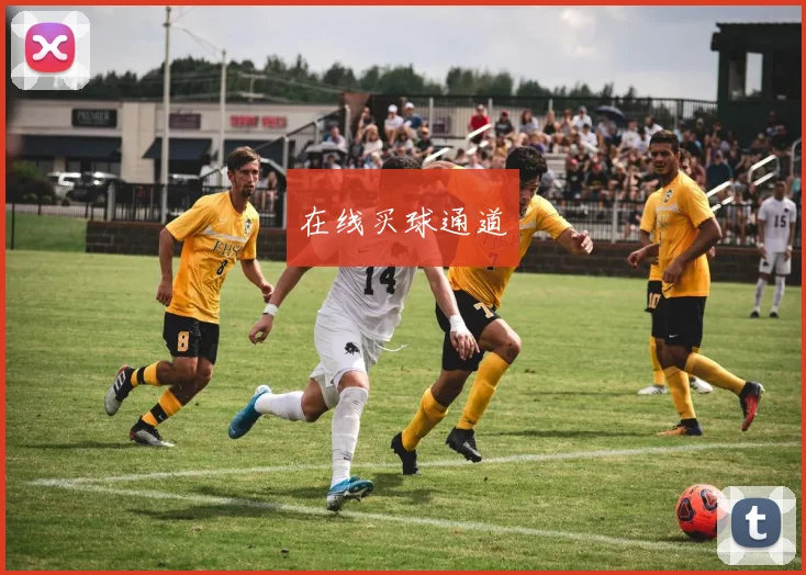 在线买球通道