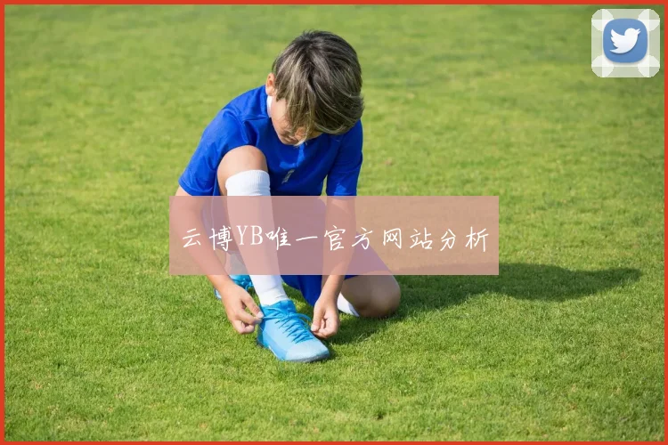 云博YB唯一官方网站分析