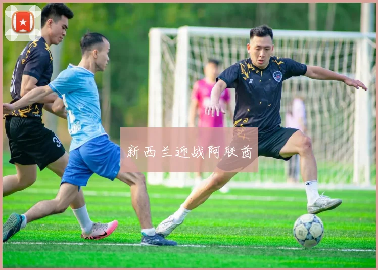 新西兰迎战阿联酋