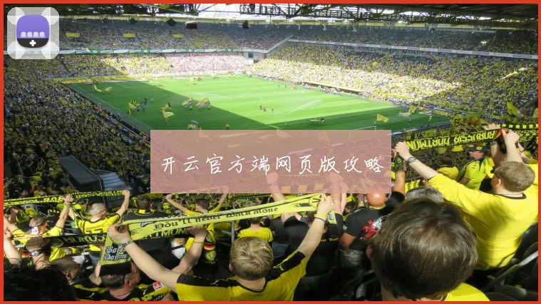 开云官方端网页版攻略