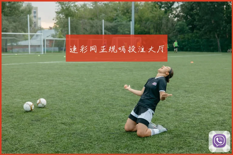 速彩网正规吗投注大厅