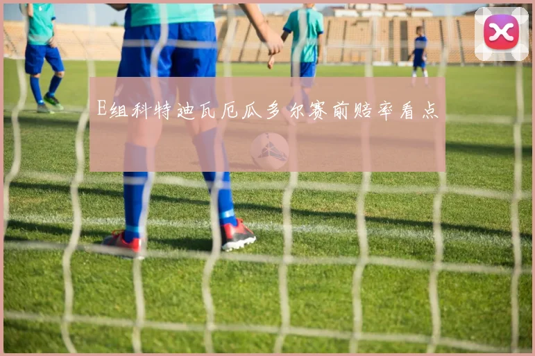E组科特迪瓦厄瓜多尔赛前赔率看点