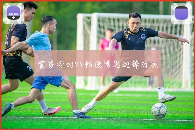 霍芬海姆vs帕德博恩边锋对决